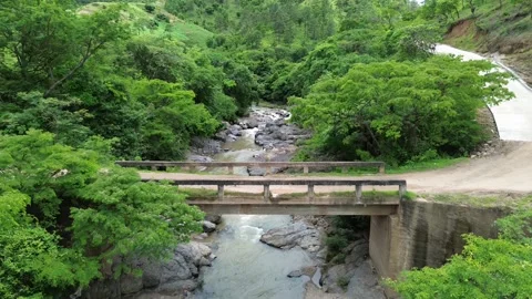 Over the river and over the bridge between trees Stock Footage 279897548