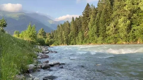 Over River and Trees with Seagulls Video stock 325329663