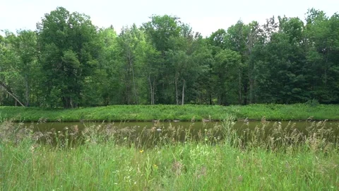 Over the river Stockbeeldmateriaal 171342742