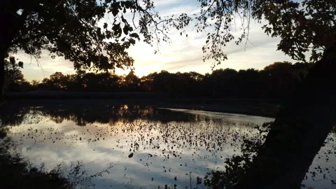 Over River into Sunset Video stock 310271147