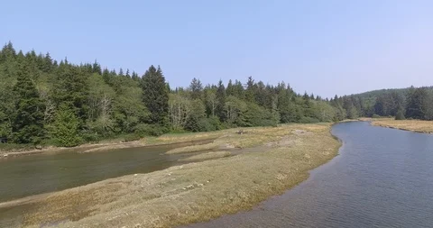 Over river towards forest Stock Footage 86296341