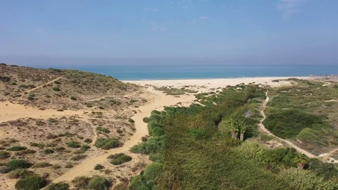 Over the sand dune Stock Footage 98900102