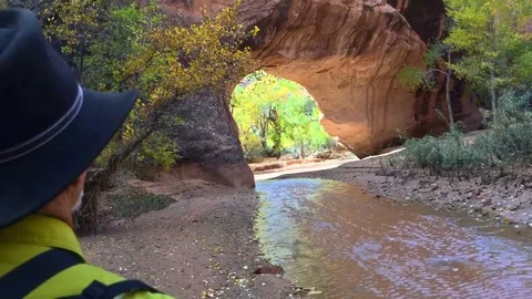 Over shoulder to Arch Video stock 97757595