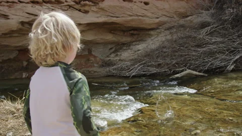 Over the shoulder little boy throws rock into river with rack focus to splash Stock Footage 248581199