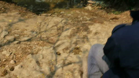 Over the shoulder of a mahout Stock Footage 664256