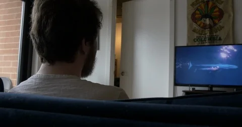 Over the Shoulder Shot of Man Watching TV Stock Footage 106575322