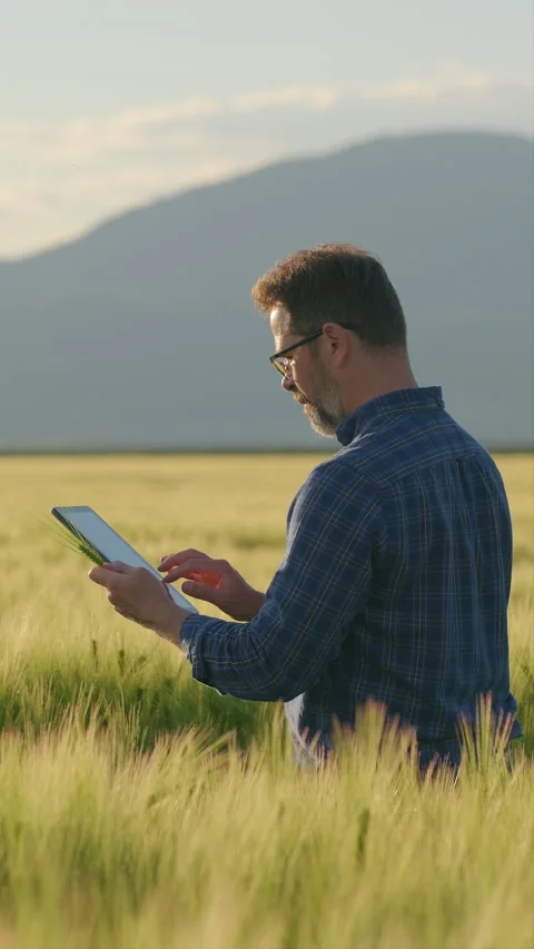 Over shoulder view of farmer logging crop data on tablet and giving thumbs up Stock Footage 337123351