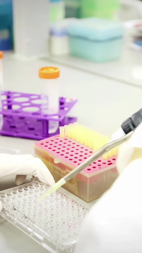 Over The Shoulder View Of Laboratory Technician Conducting Chemical Test - 4K   Stock Footage 338040745