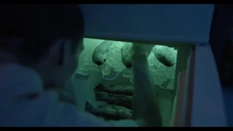 Over the Shoulder View of Man Handling Frozen Raw Fish Inside Glowing Refrig Vídeos de archivo 342149386
