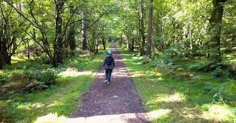 Over the shoulder walking through the forest Stock Footage 82353588