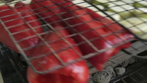 Over the smoldering coals of the grill is placed a grid of vegetables. Stock Footage 159300455