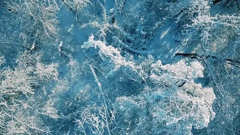 Over the snow-covered forests Video stock 85832896