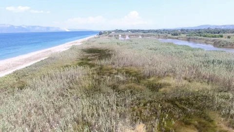 Over the Swamp Video stock 116539020