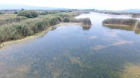 Over the Swamp Video stock 116540672