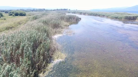 Over the Swamp Stockbeeldmateriaal 116543006