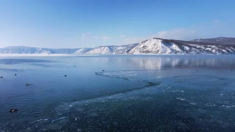 Over thin transparent ice. Waterfowl birds overwinter in a clear mountain lake Stock Footage 179941574