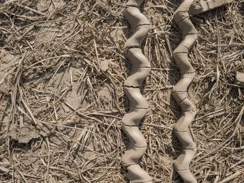 Over the top shot of two parallel lines made from left-over dry mud from tire Stock Photos