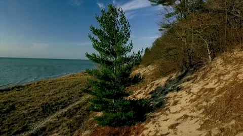 Over the Tree to Lake Michigan Vídeo Stock 75625276