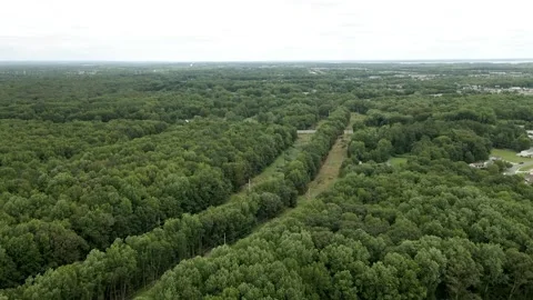 Over The Trees and Wires Stock Footage 158031100