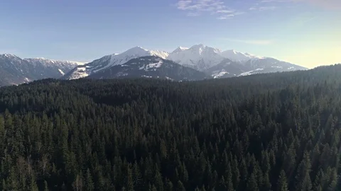 Over Trees Mountain Aerial 4k Stock-Footage 77454231