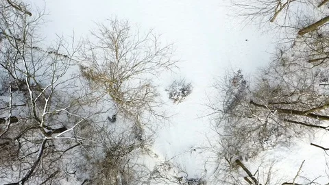 Over trees in snow 2 Video stock 109550278