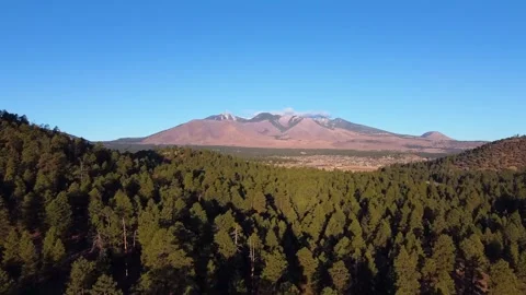 Over the trees West side of of San Fresco peaks in Flagstaff AZ. Video stock 145945265