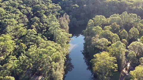 Over turning Lane Cove river in national park of Sydney, Australia, as 4k. Stock Footage 158262002