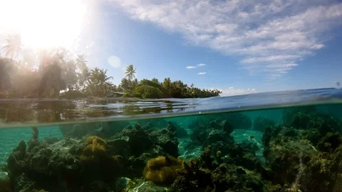 Over under sea surface ,tropical island ,Pacific ocean, French Polynesia Stock Footage 98178448