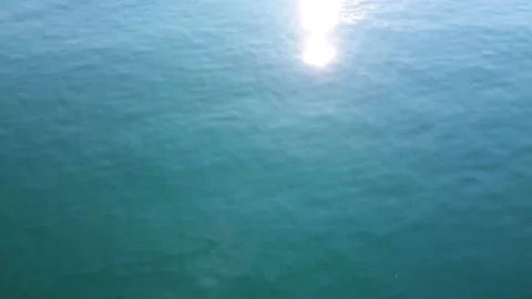 Over water flight Stock Footage 160172064