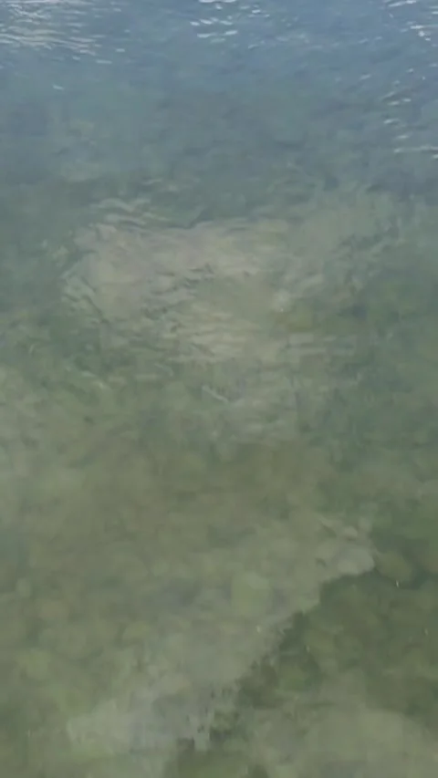 Over water Stockbeeldmateriaal 319361248