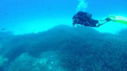 Over the weed to the sand 스톡 동영상 113752379