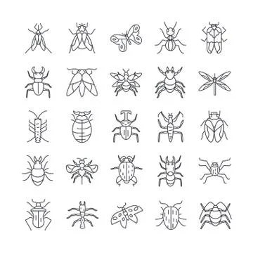 Over white background, イラスト素材