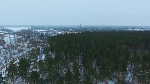 Over winter coniferous forest Stock Footage 85888089