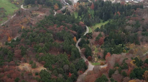 Over wooded rural area south of Boston. Shot in November 2011. Stock Footage 59162549