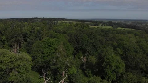 Over Wytham Woods Stock Footage 169652815