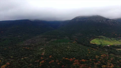 Overall drone shot advancing over forests Video stock 347585374