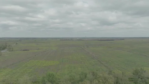 Overall drone view of contryside fields near Arcachon Bay, France Stock Footage 333107690