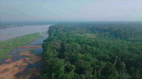 Overall drone view of forest in Ouesso, Congo Stock Footage 331999933