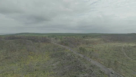 Overall drone view of road through deforested forest, France Stock Footage 333108636