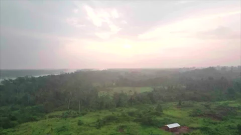 Overall forest view with river left and sun in distance, Ouesso, Congo Stock Footage 332000004