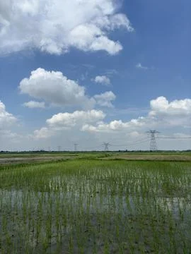 Overall impression is one of tranquility and vastness. Stock Photos