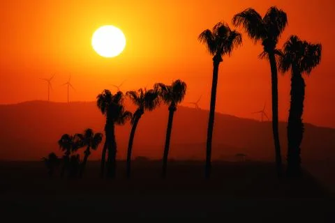 Overall view of wind power generators on the background of sunset over dry sa Stock Photos