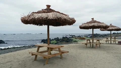 Overcast beach: Grass umbrellas over empty picnic tables, no people Stock Footage 271021191