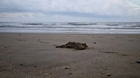 Overcast beach scene with gentle waves and a solitary crab. Stock Footage 333387896