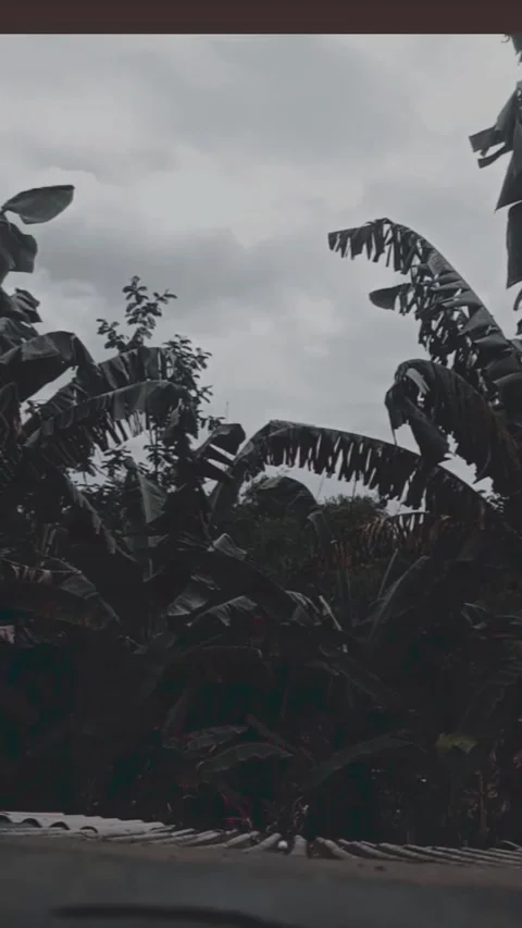 Overcast clouds in the morning Stock Footage 234212716