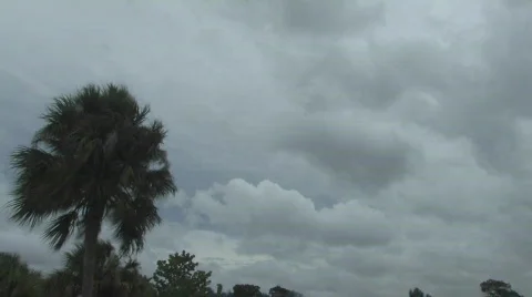 Overcast cloudscape 4 tl hdp Stock Footage 534279