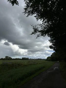 Overcast cloudy sky over green meadow path with tree branches framing distant Stock Photos