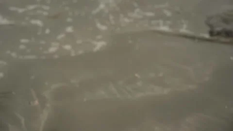 Overcast day on the beach with the small waves and muddy water 動画素材 169522379