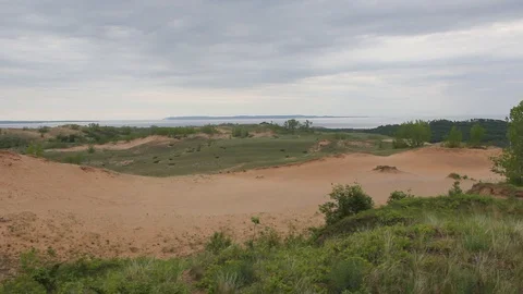 Overcast day on the dunes Stock Footage 101649193