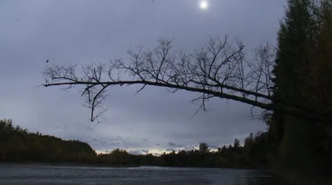 Overcast day. Stock Footage 8948520